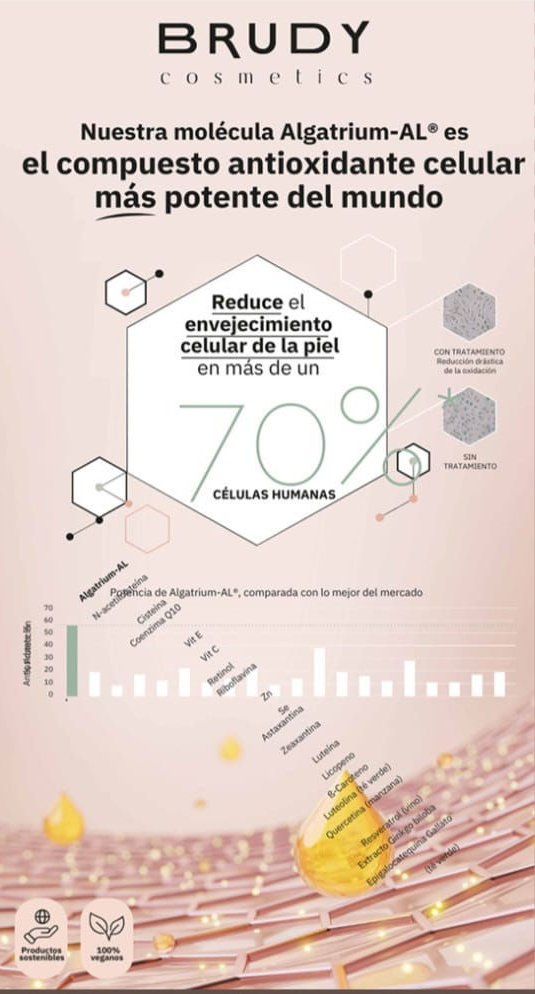 brudy diciembre 2024 2