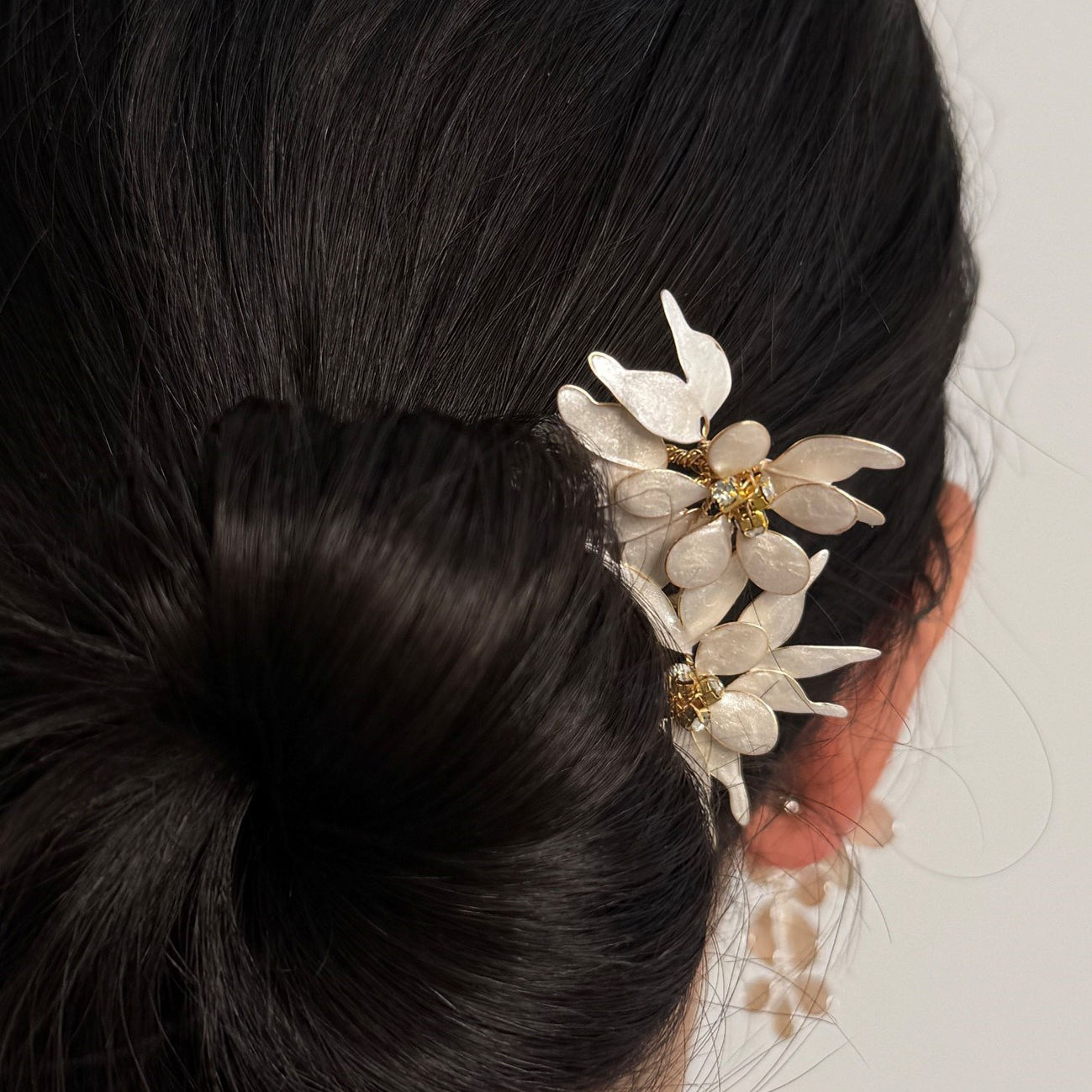 Col·lecció Silvestre